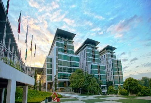 深耕酒店行業，攀登學術高峰 泰萊大學酒店管理博士專業深度解析